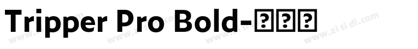Tripper Pro Bold字体转换